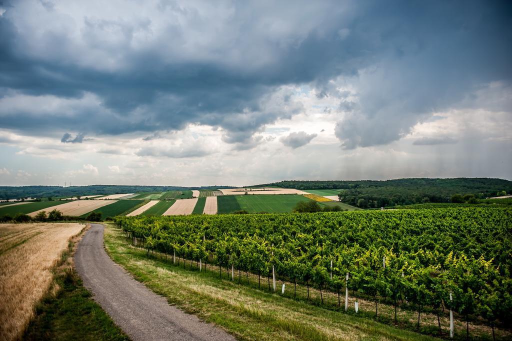 Amethysthotel Mantler Maissau Екстер'єр фото